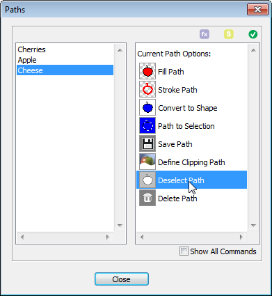 Paths tab